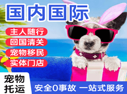 长水航空邮寄国际宠物托运 【国